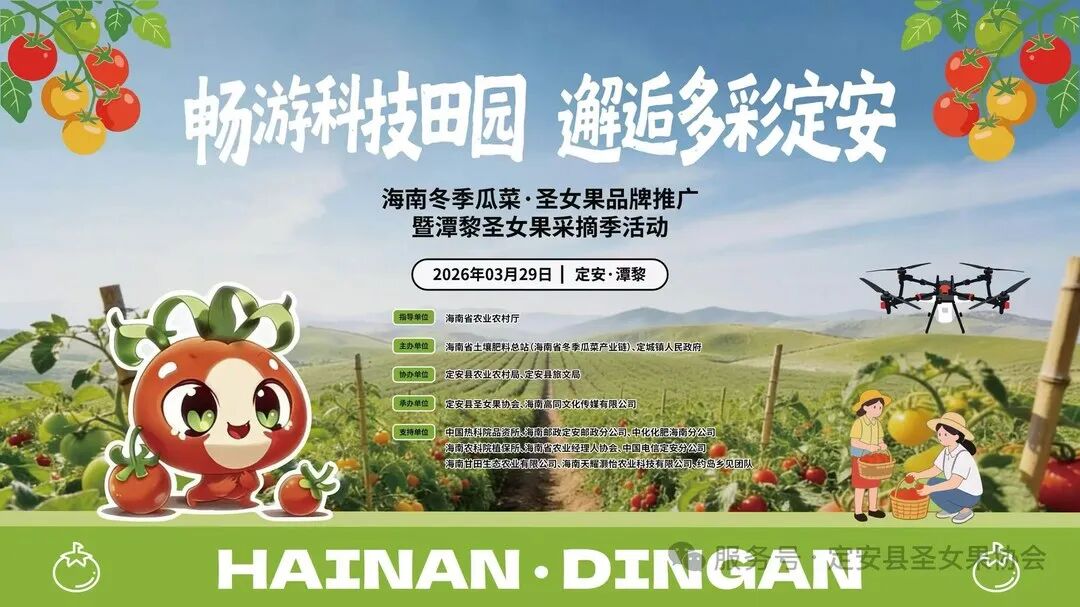 海南天耀灏怡